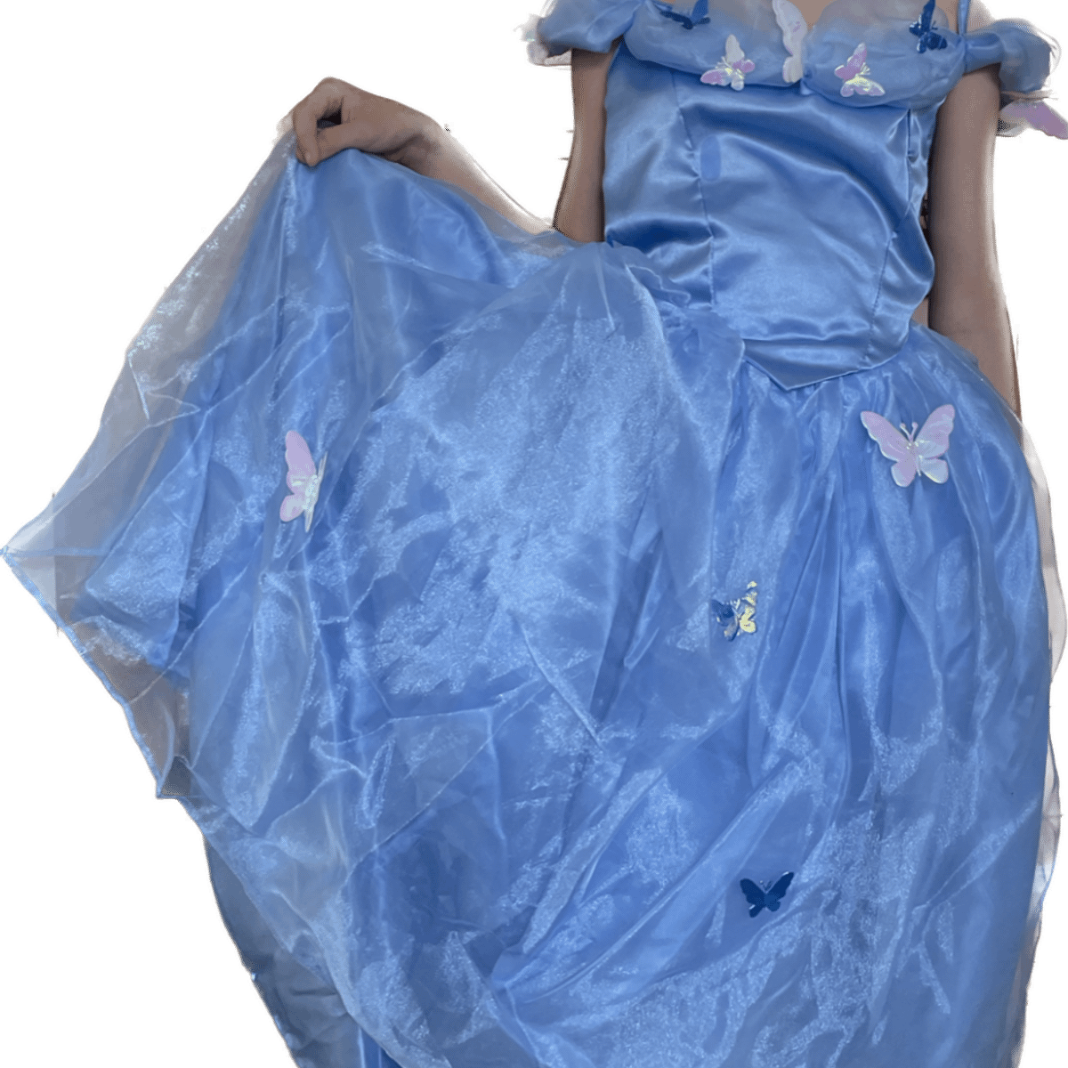 Vestido Princesa Cinderela Borboleta