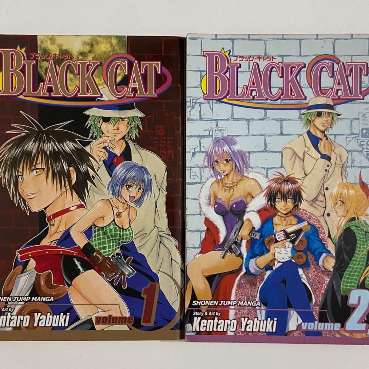Mangás Black Cat em Inglês 1-2 | Viz Media Usado 123162097 | enjoei