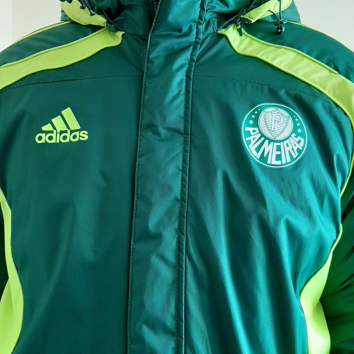 jaqueta inverno palmeiras