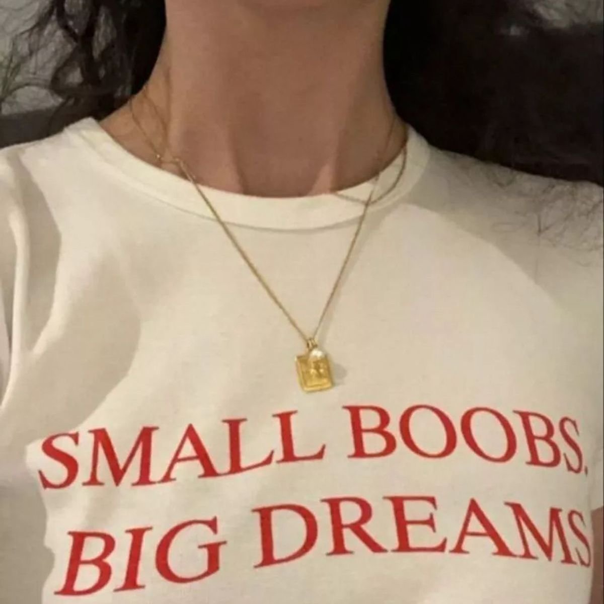 Small Boobs, Big Dreams | Essential T-Shirt