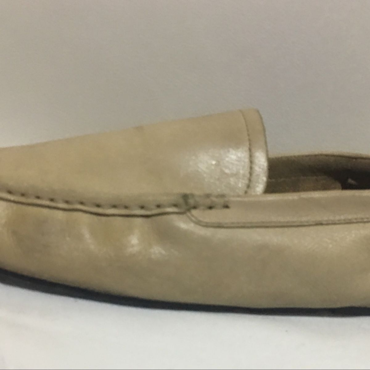 mocassim constantino