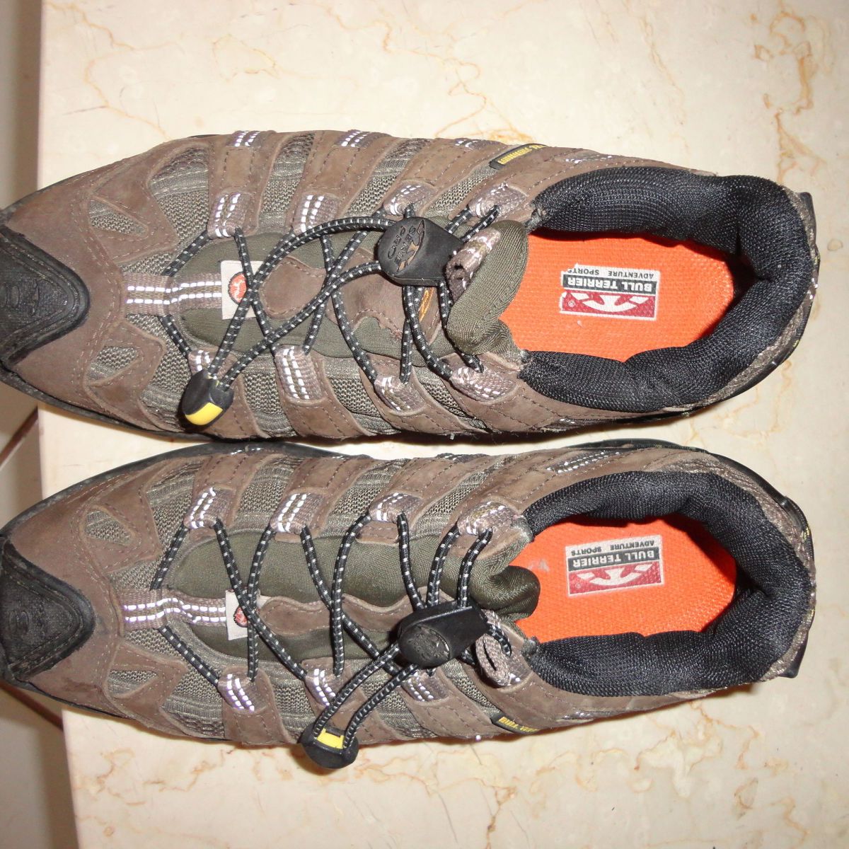 tenis bull terrier adventure sports