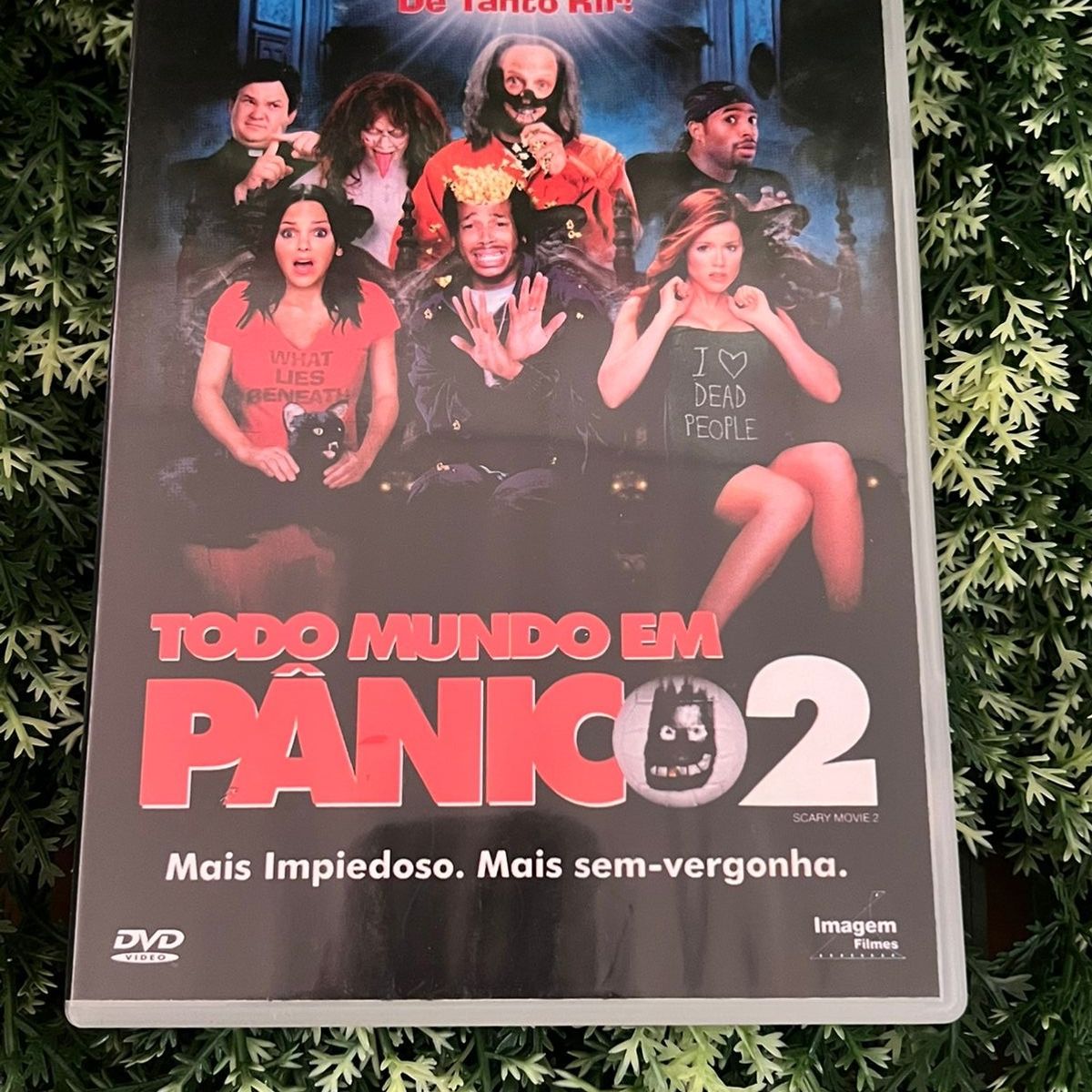 Dvd Todo Mundo em Pânico 2 | Usado 124267261 | enjoei