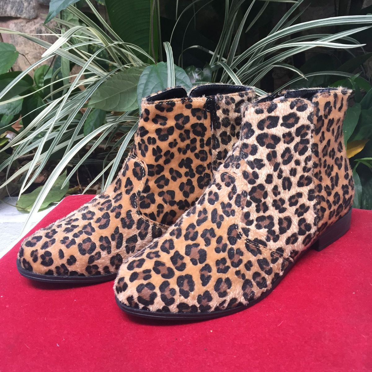bota cano curto de oncinha