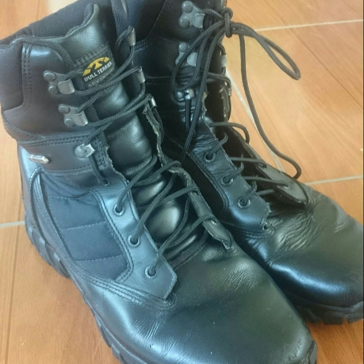 bota bull terrier cano longo