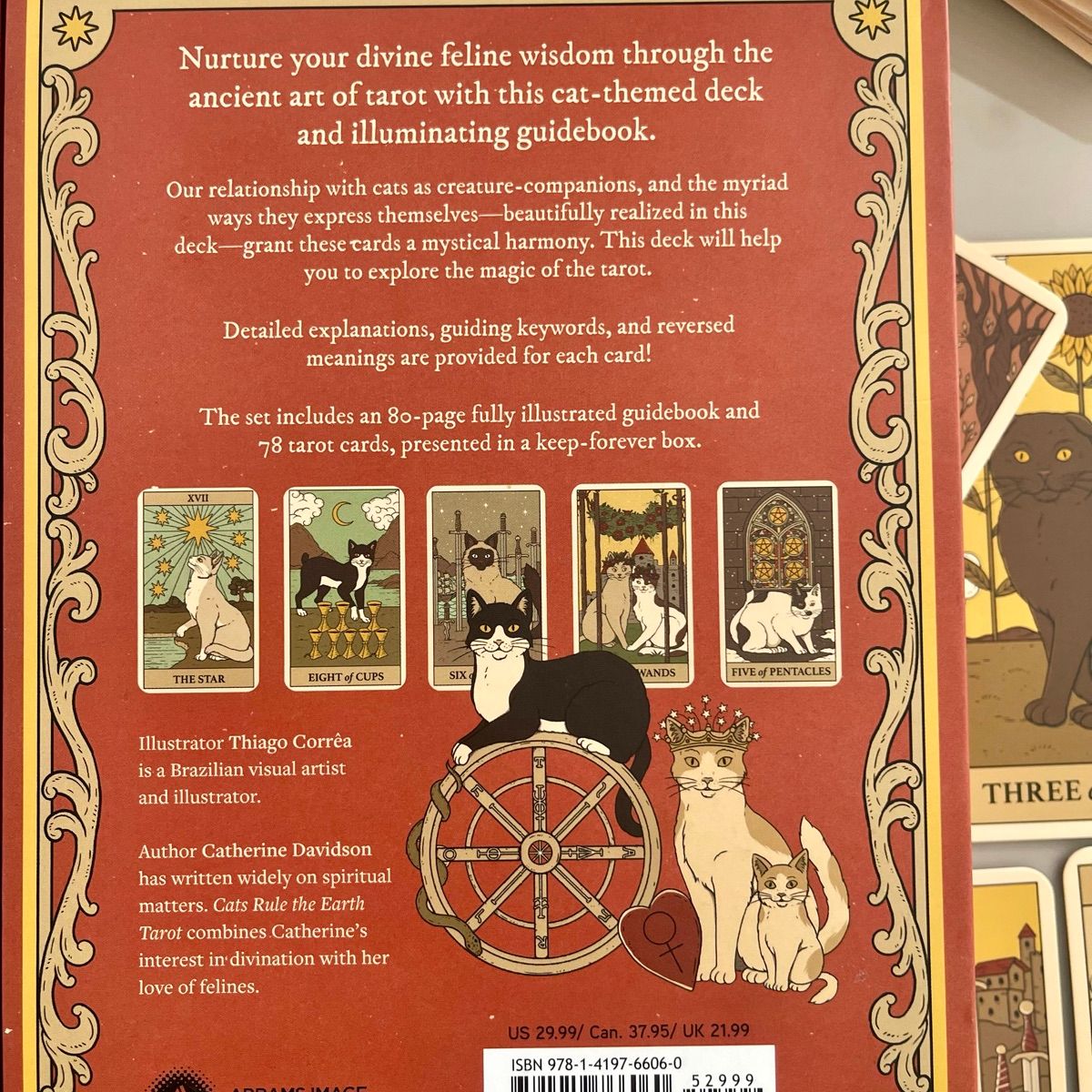 CATS  RULE THE WORLD（ENG.）タロット 78枚セット CATS RULE THE WORLD（ENG.）タロット 78枚セット CATS RULE THE WORLD