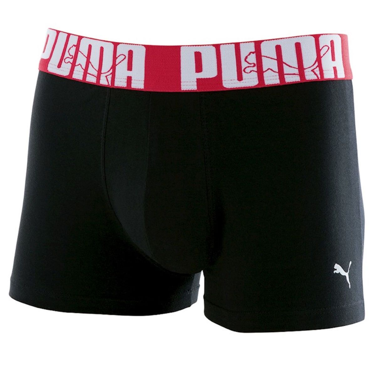 cueca da puma