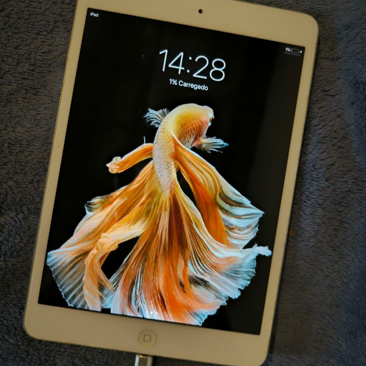 Ipad Mini 2 16gb | Apple Usado 111669420 | enjoei Ipad Mini 2 16gb | Apple Usado 111669420 | enjoei