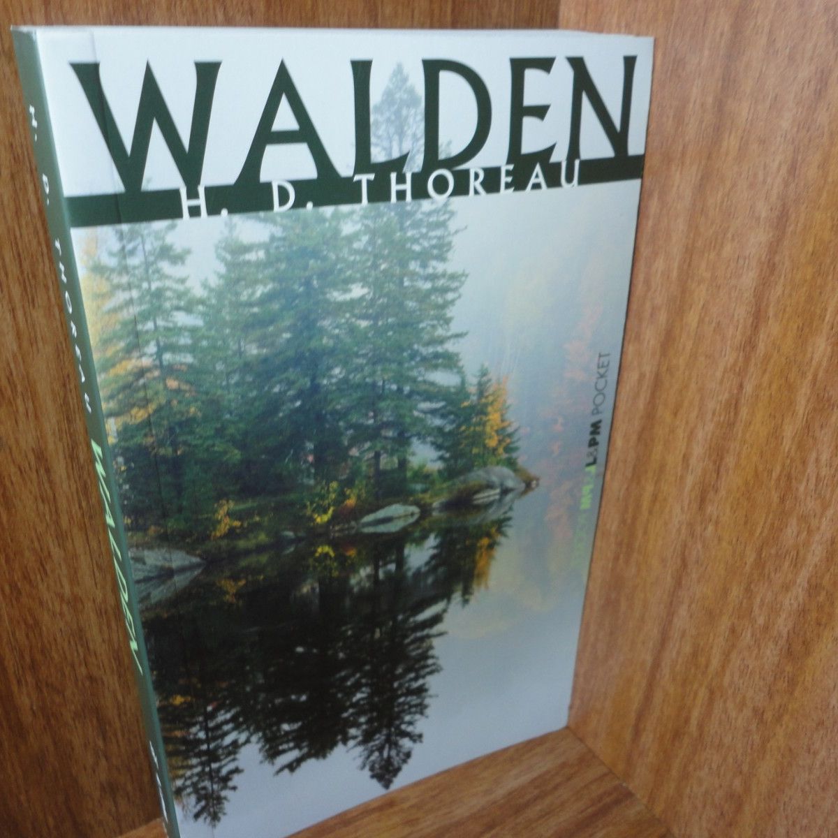 Walden - Coleção L&Amp;Pm Pocket - Henry David Thoreau | L&Pm Pocket Nunca  Usado 83133321 | enjoei