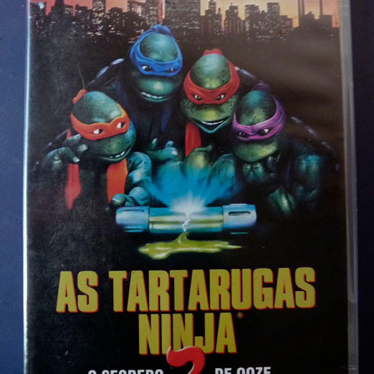 ONG teme surto de compra de animais com filme 'Tartarugas Ninja' - SWI