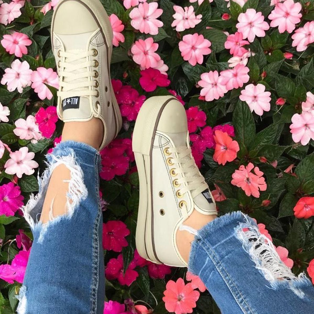 all star sola alta bege