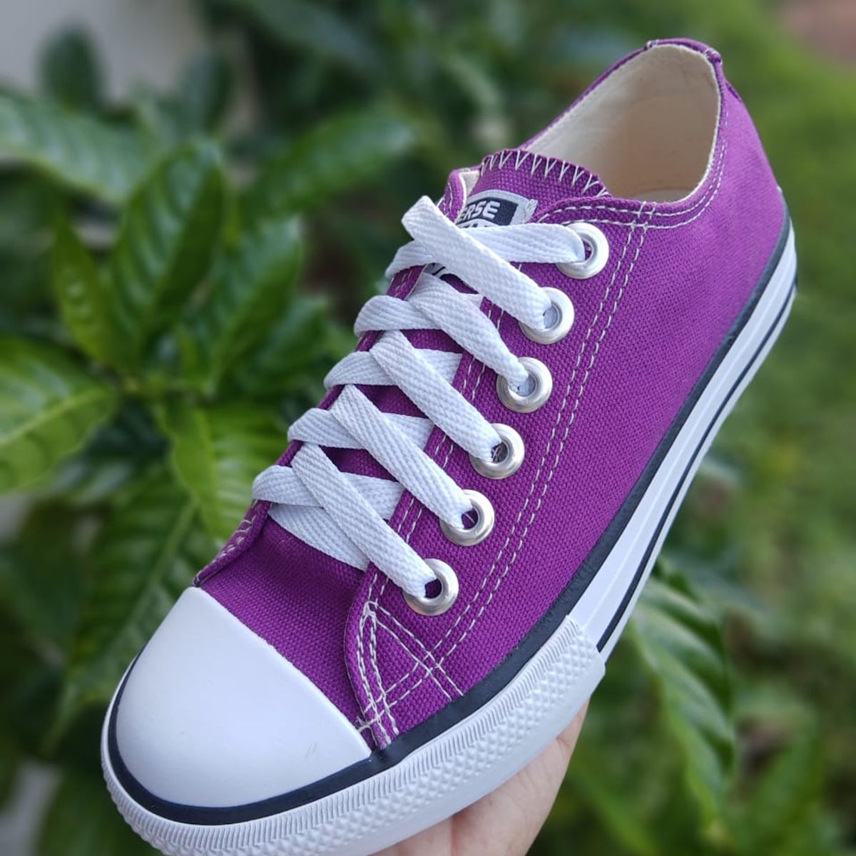 all star cano alto violeta