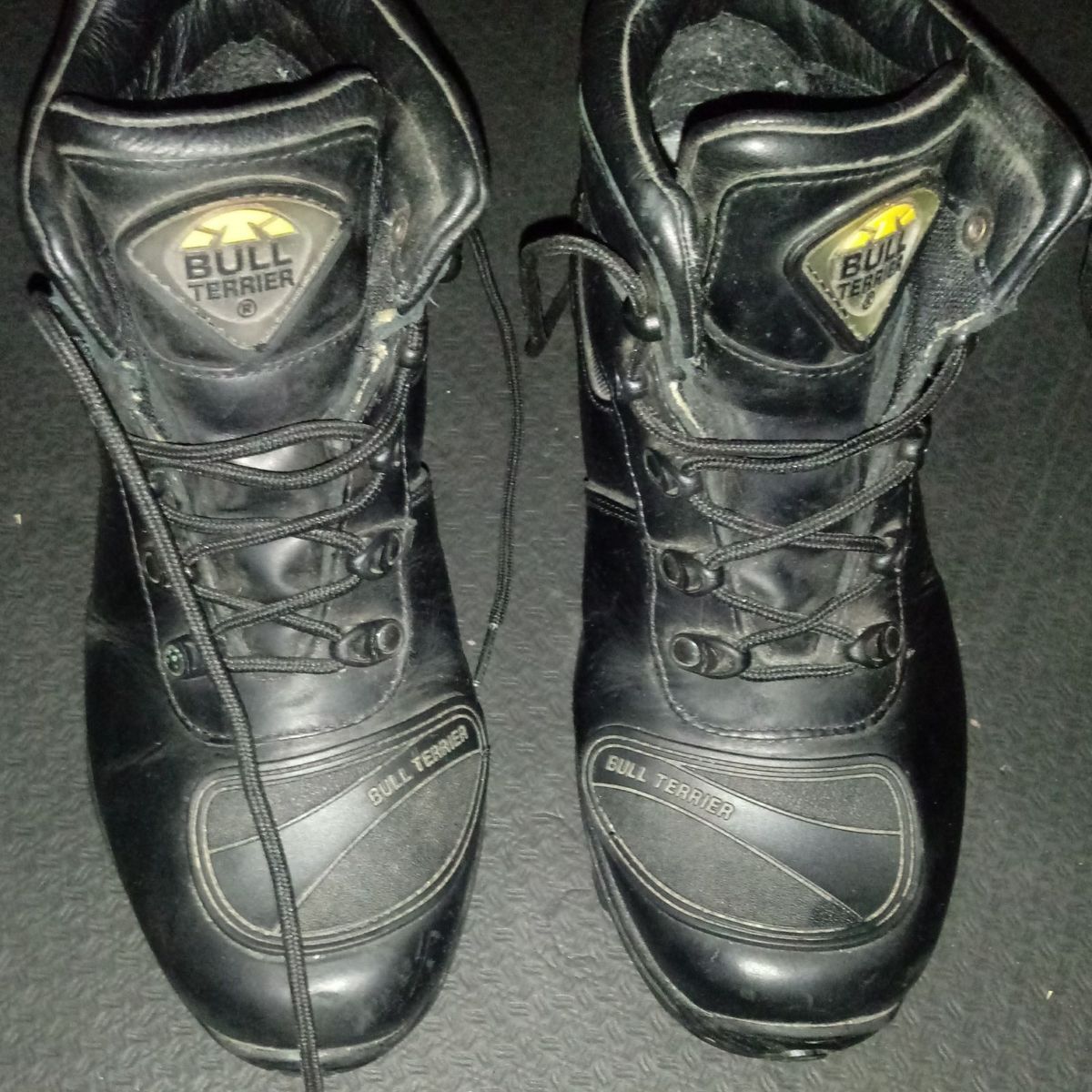 bota bull terrier motociclista