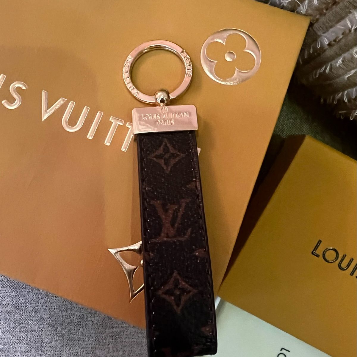 Chaveiro Louis Vuitton Bulldog - Marrom Lv - Cachorro | Produto Feminino  Louis Vuitton Nunca Usado 49218721 | enjoei