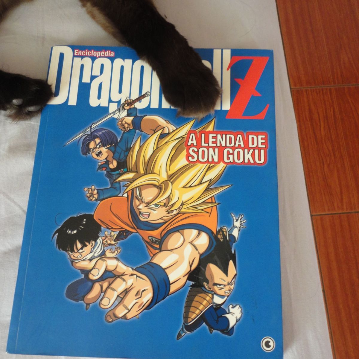 Revista Dragon Ball Z a Batalha Noise Dois Mundos + Brindes | Livro Editora  Abril Usado 64311340 | enjoei