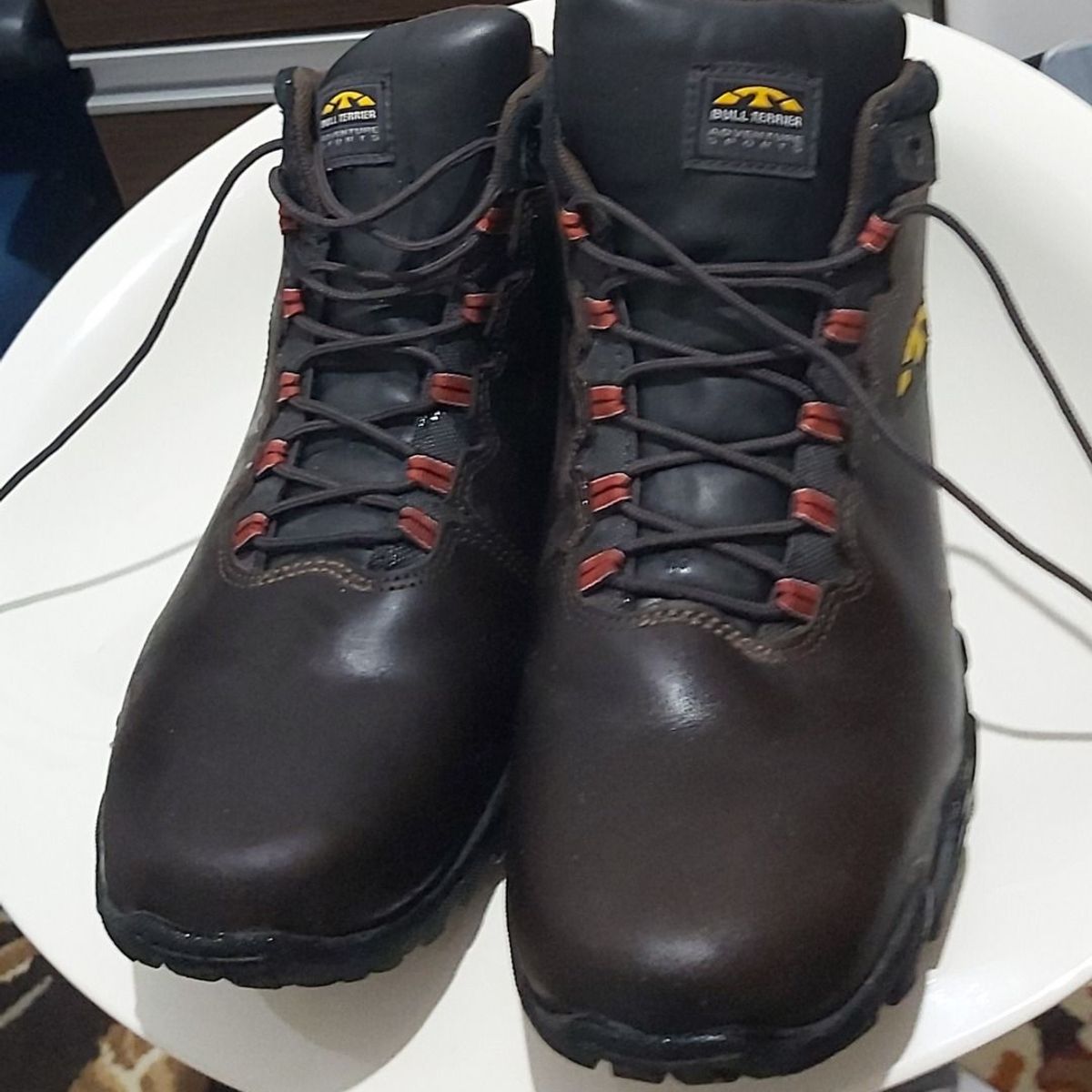 bota bull terrier sparks