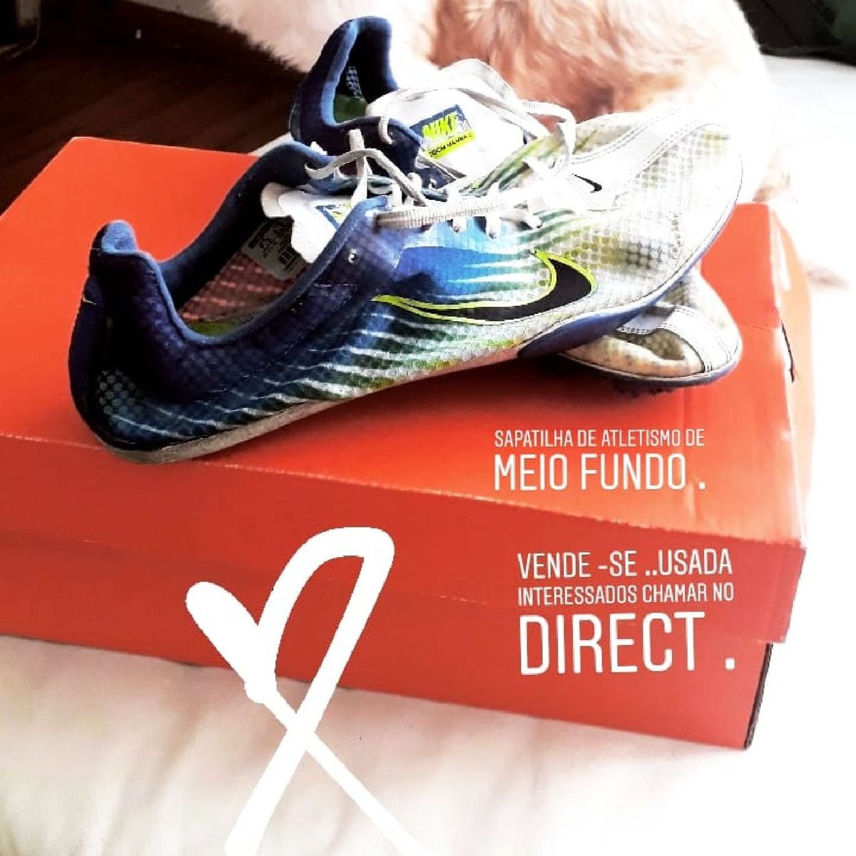 sapatilha esportiva nike