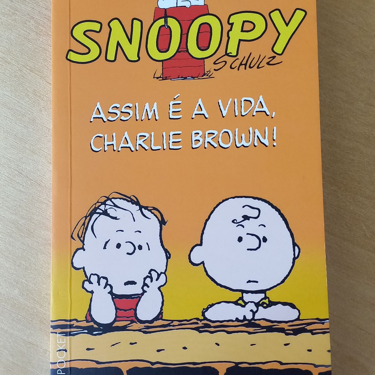 AMERICAN 90s PEANUTS TOONS 革ジャンL☆おまけ付