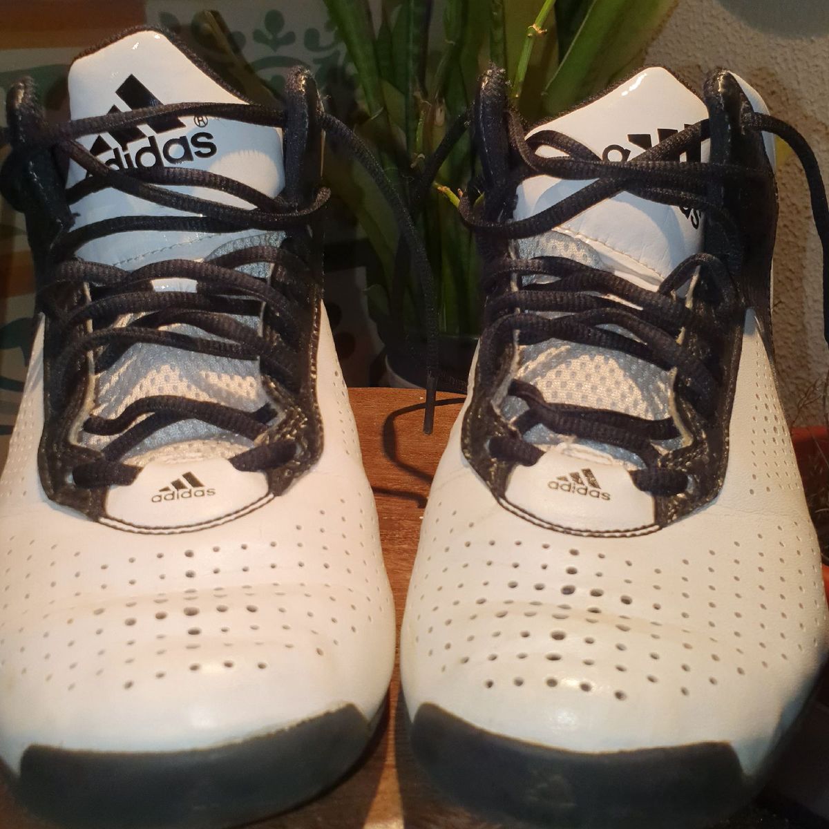 basqueteira feminina centauro