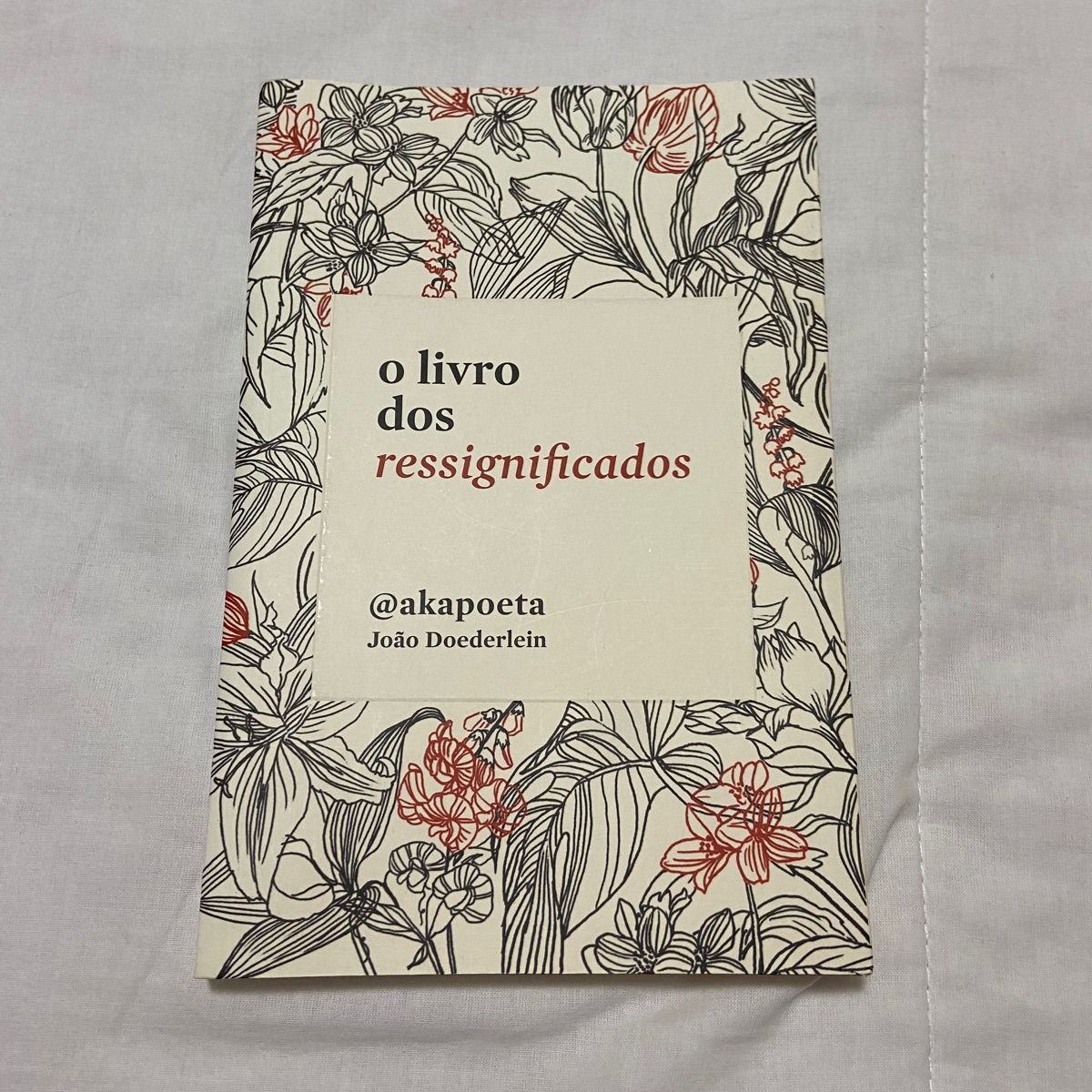 O livro dos ressignificados @akapoeta