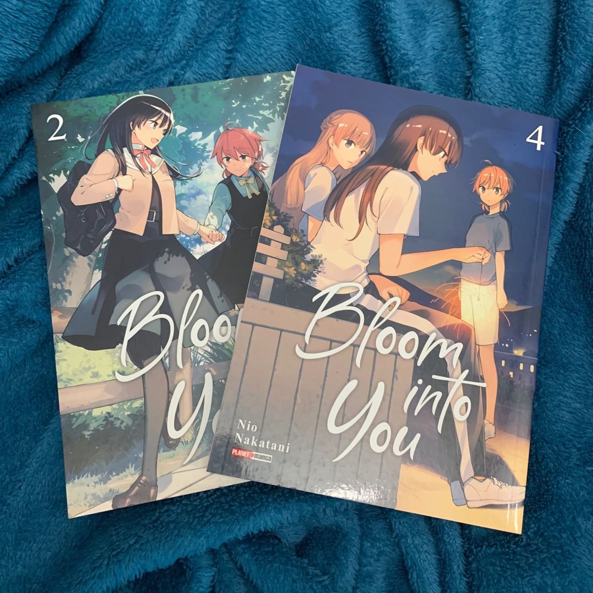 Bloom Into You Vol. 1 : Nakatani, Nio, Nakatani, Nio: : Livros