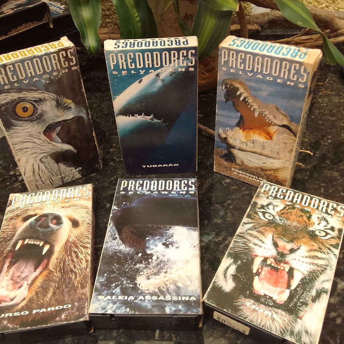 Selections Fox Tigerland / [VHS](中古品)
