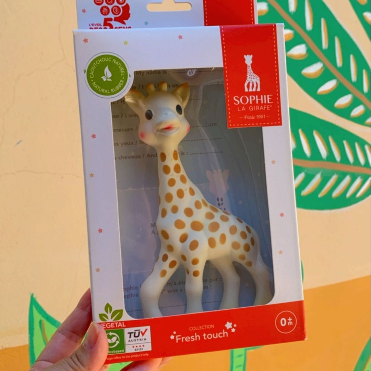 Sophie La Girafe (girafa Sophie) - Mordedor Importado Original | Item  Infantil Sophie La Girafe Usado 91350893 | enjoei