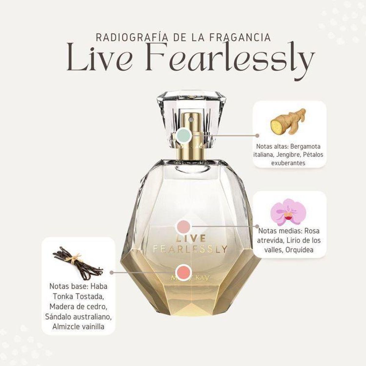 Perfume live discount fearlessly mary kay