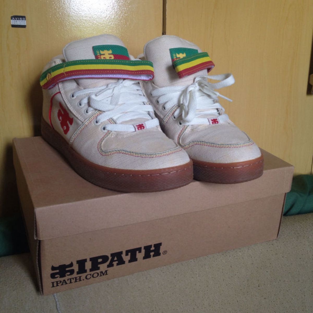 tenis ipath skate