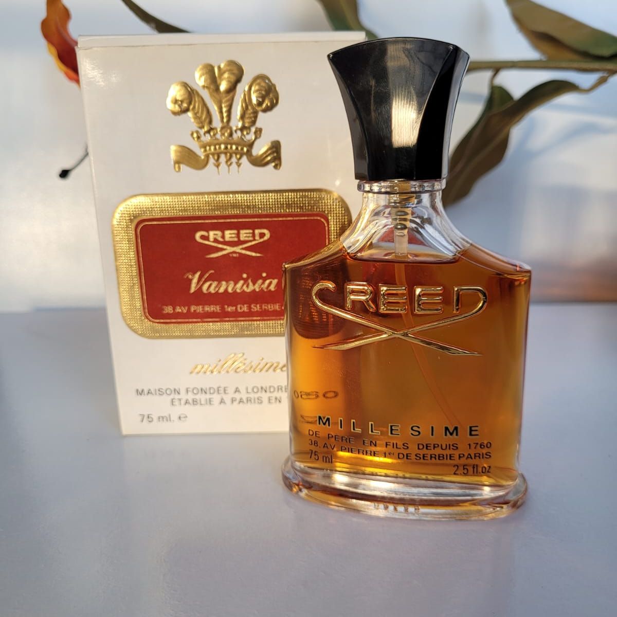 Creed vanisia best sale