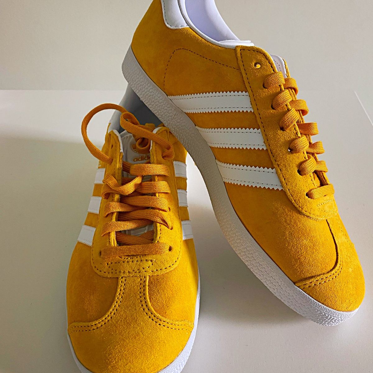 gazelle amarelo