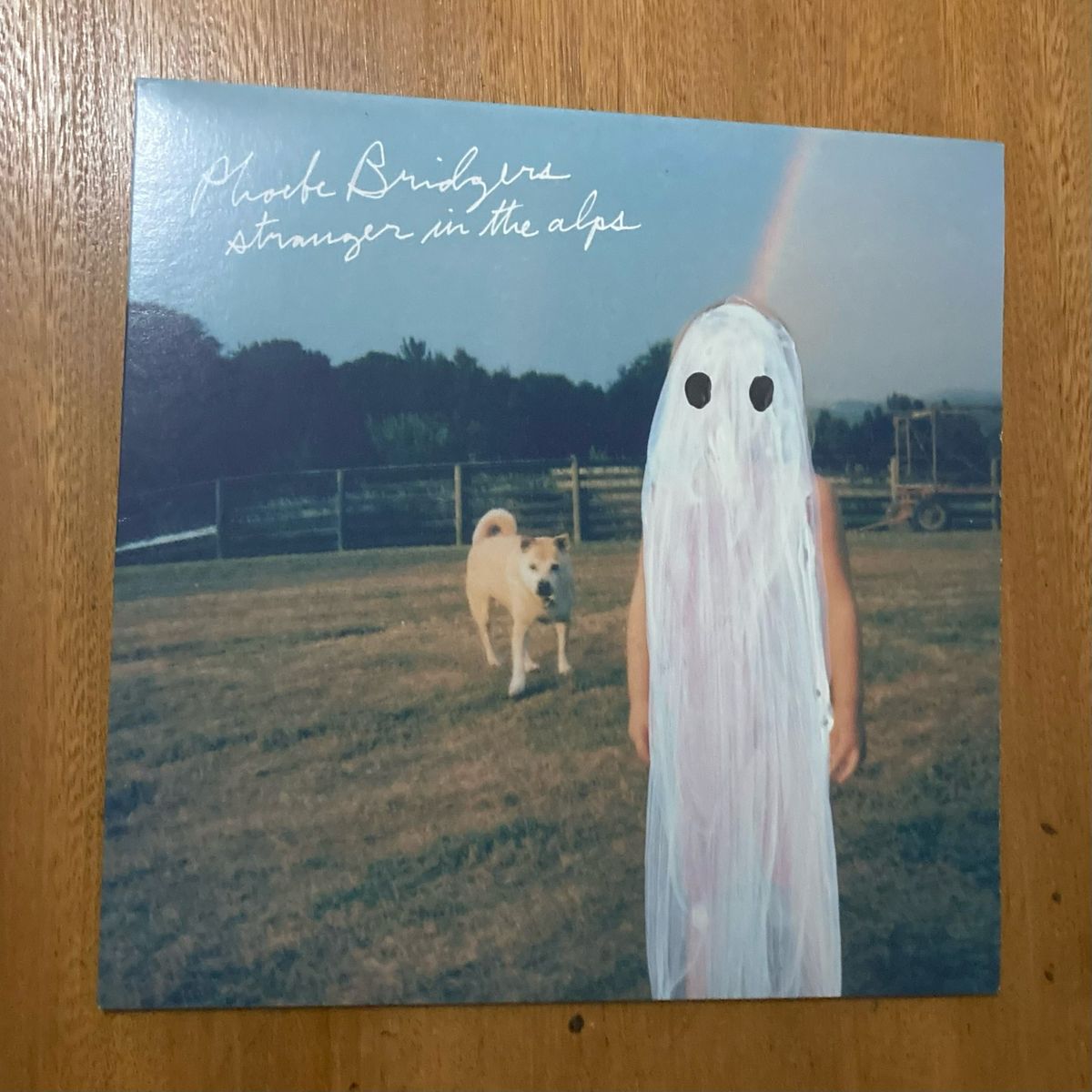 Lp Stranger In The Alps - Phoebe Bridgers | Dead Oceans Usado