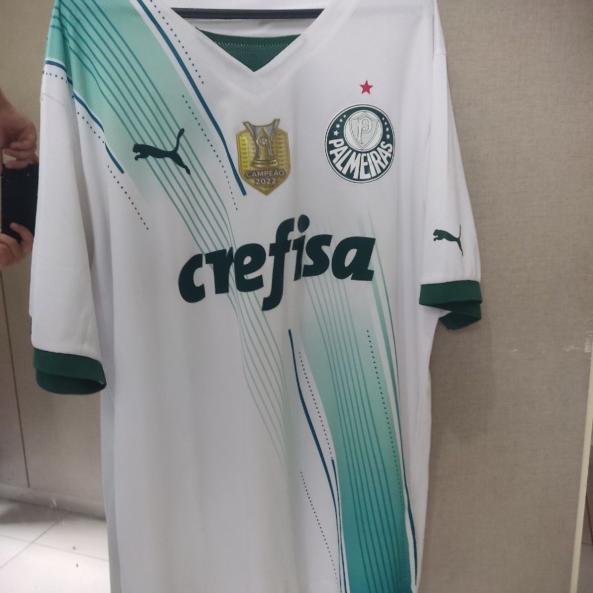 Camisa Pré Jogo Palmeiras 2023/2024 Branca Torcedor Puma Masculina