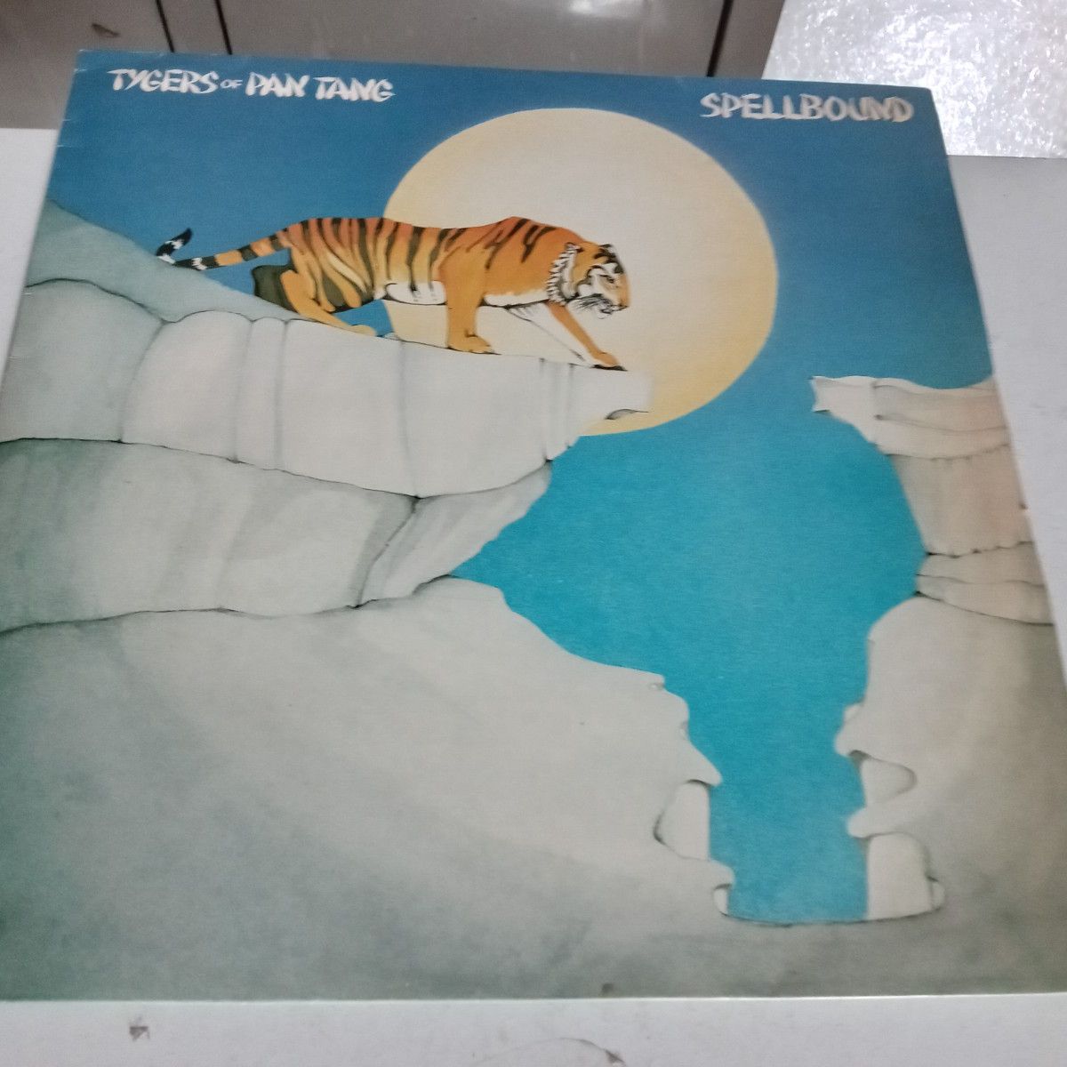 Of LP Spellbound Pan その他 /00260 Tygers MCA Tang MCF3104