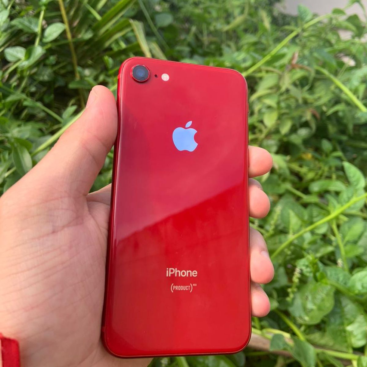 Iphone 8 64gb Vermelho | Apple Usado 83459391 | enjoei