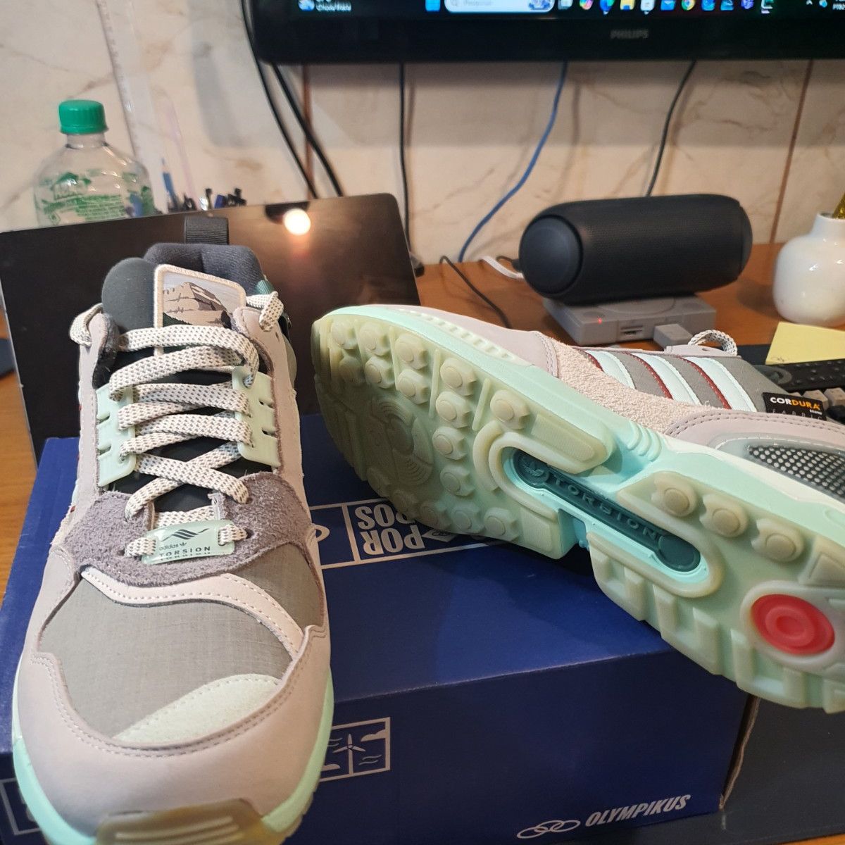 Adidas Zx 9000 Glacier X National Park Foundation | Adidas Nunca