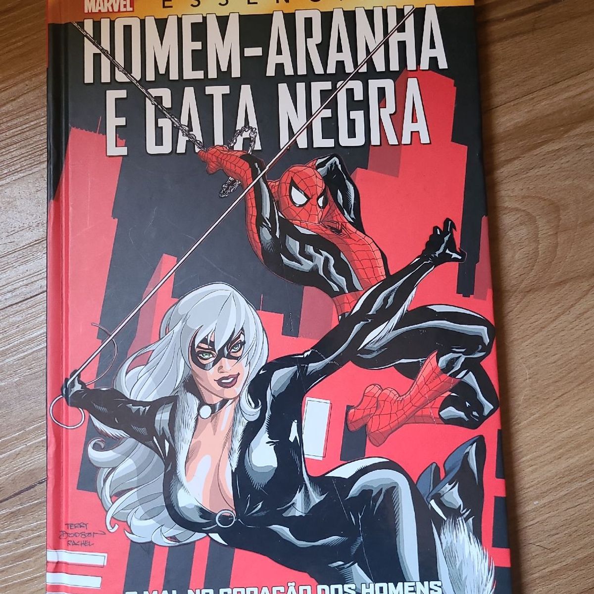 Gata negra e homem aranha