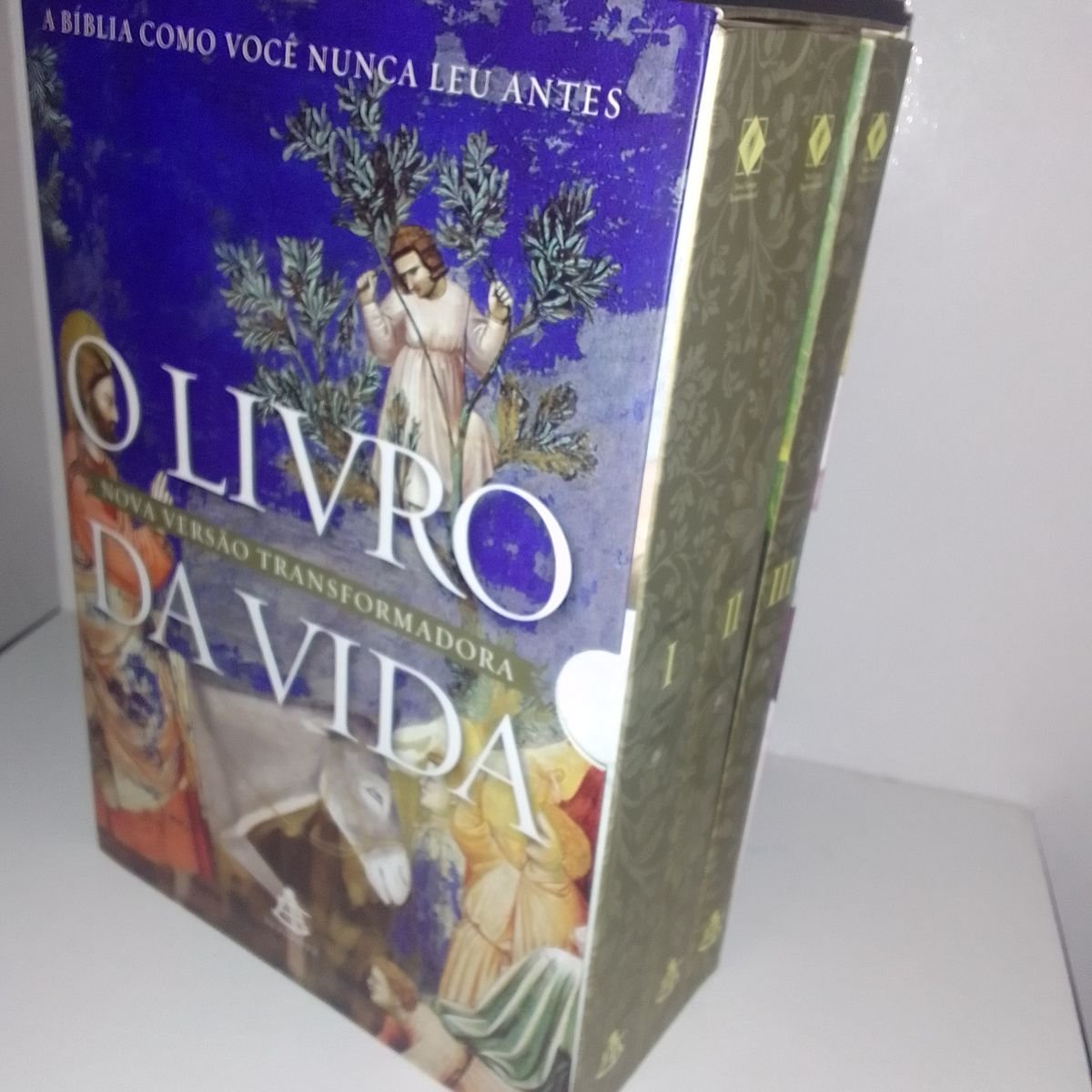 Livro A Vida Futura Segundo A Bíblia - 3 edição em Promoção na Americanas