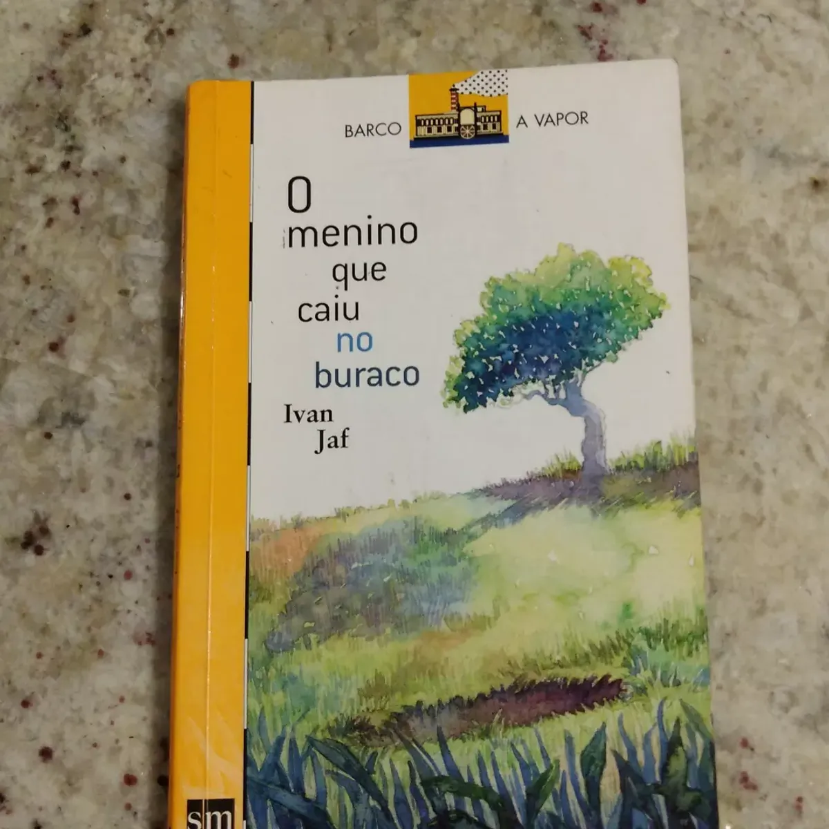 Livro O Menino Que Caiu No Buraco | Livro Usado 91489577 | enjoei