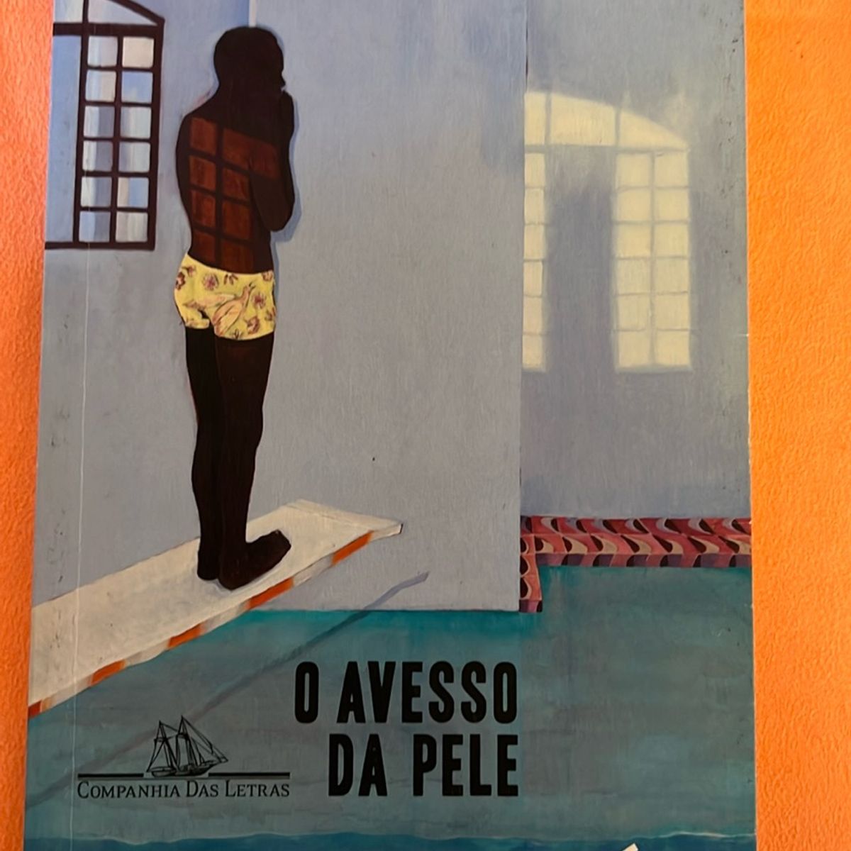 O pele da avesso 【中古】
