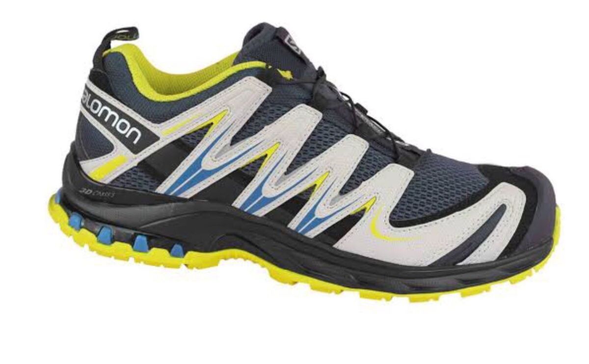 salomon xa pro 3d 42
