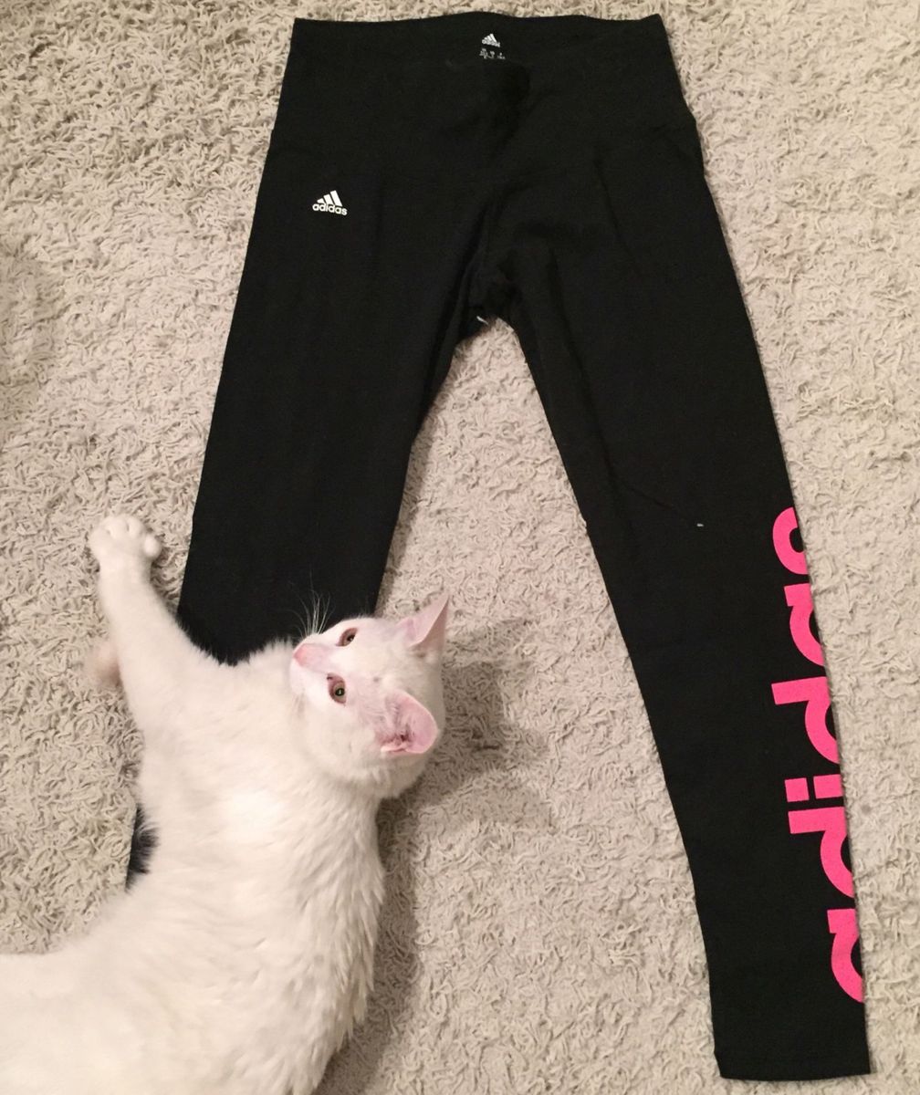 calça climalite adidas