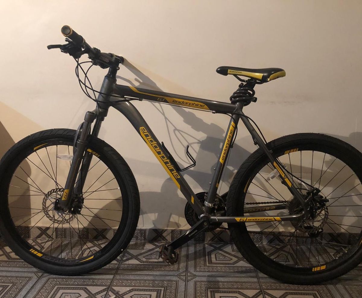 gonew endorphine 6.3 2016