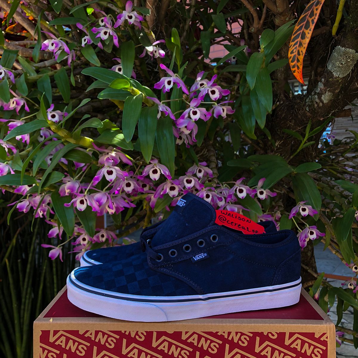 tênis vans atwood azul