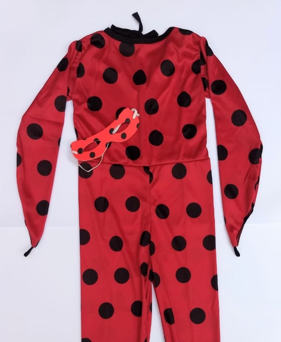 roupa ladybug marisa