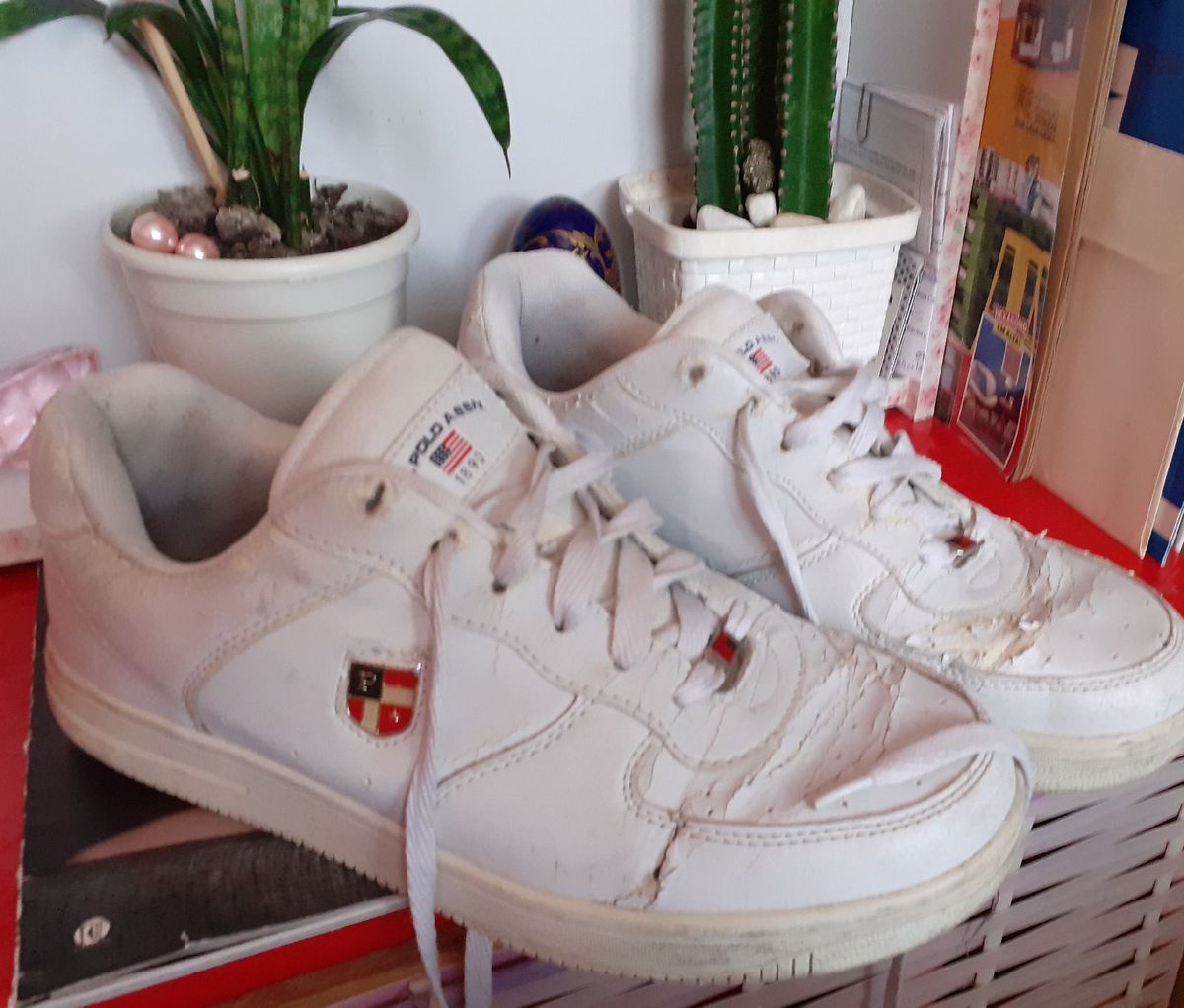 tenis polo london club