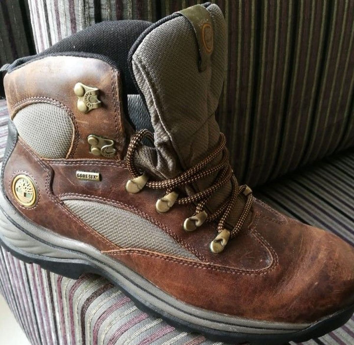 bota chocorua trail mid gtx