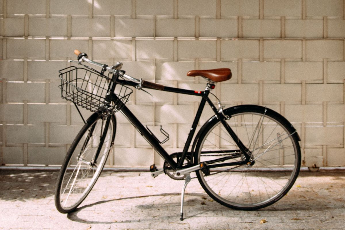 specialized globe daily 01