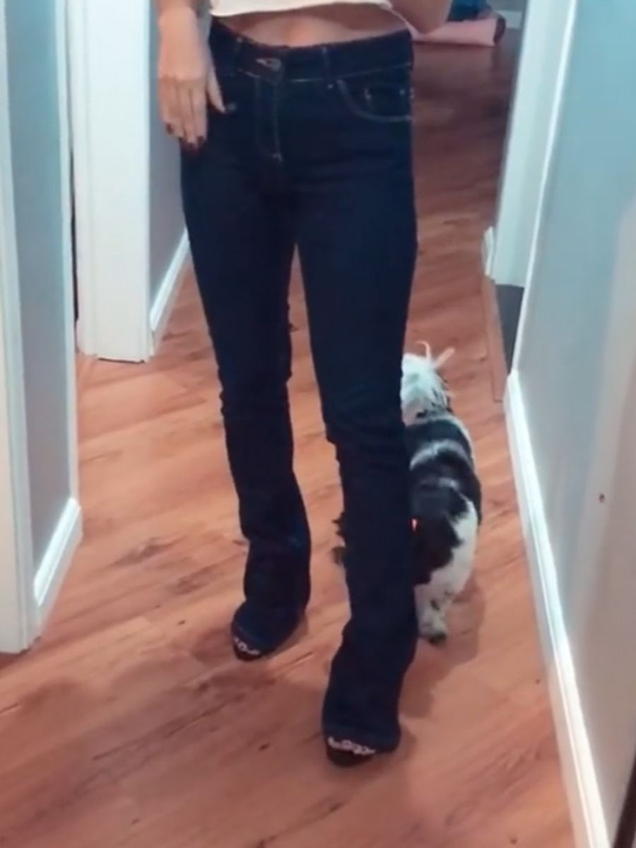 dafiti calças jeans feminina