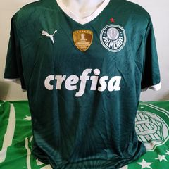 Camisa Palmeiras Brasileiro 2022 G Gomez de Jogo Autografada, Roupa  Esportiva Masculino Puma Usado 79170966